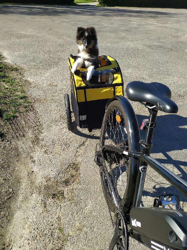 Rumba de Goazilec fait...du vélo